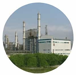 中国某大型国有企业